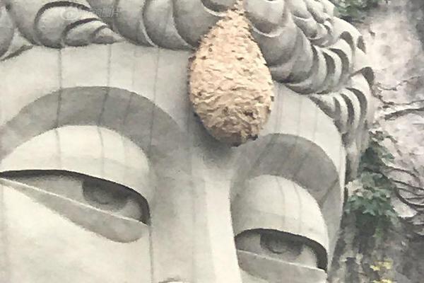 A bookstore read to kids at daycares