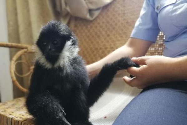A school district hired a new nutritionist to oversee school meal programs and educate students about healthy eating