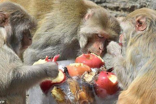 Researchers found that vitamin D deficiency is linked to increased fatigue in adults