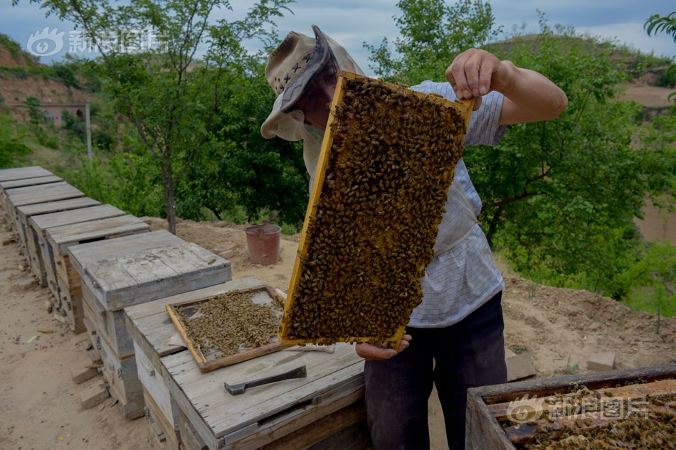 A tech company announced a partnership with a healthcare provider