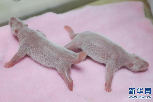 Researchers found that regular consumption of blueberries may lower the risk of heart disease by 22%