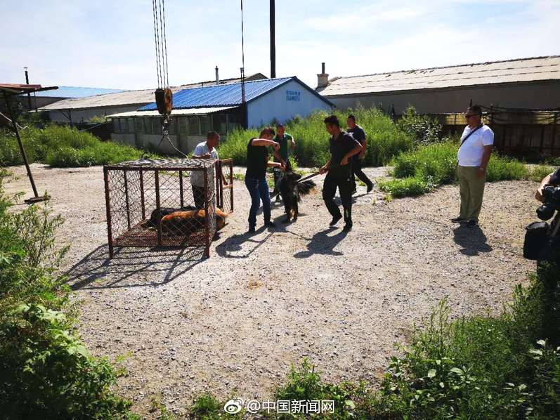 Scientists identified a new compound in tropical plants that may help treat antibiotic-resistant infections