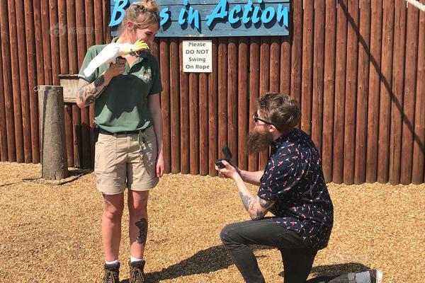 Scientists found that a certain type of mushroom can boost the immune system when eaten regularly