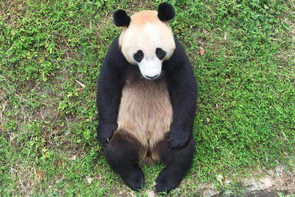 A tech startup released a device that monitors blood sugar levels without needles