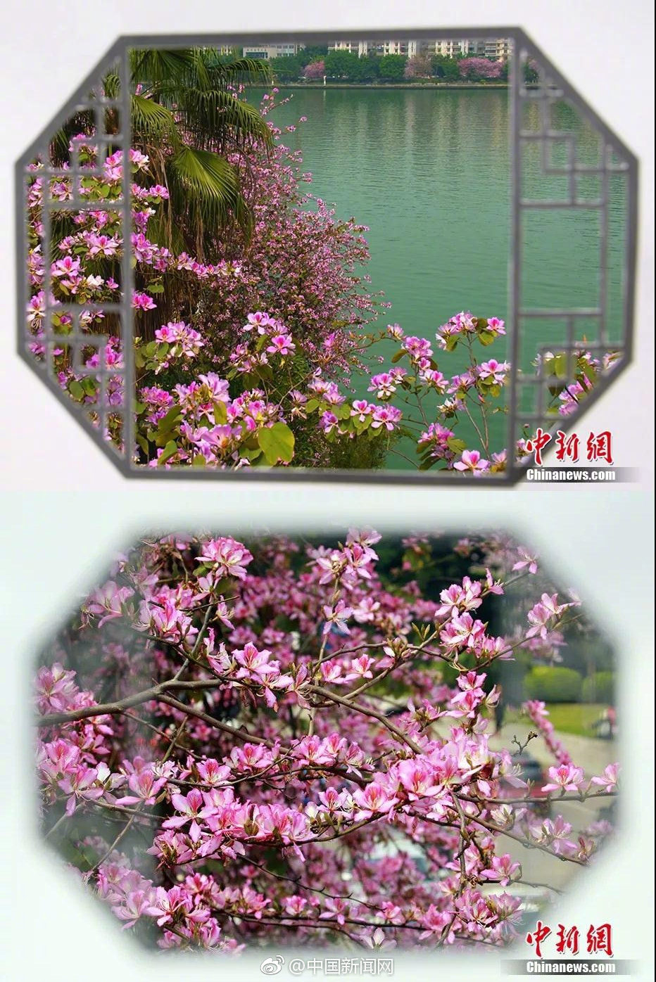 A severe drought in the western region has led to water restrictions with residents asked to limit water usage