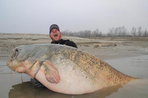 The police department introduced a new app to help citizens report non emergency issues