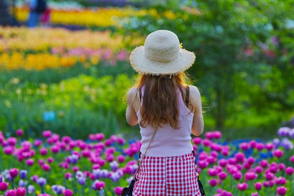 A musician performed a free concert in the park that was attended by over 2,000 people