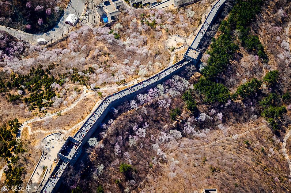 A taxi company launched a mobile app that allows customers to book rides and track their driver