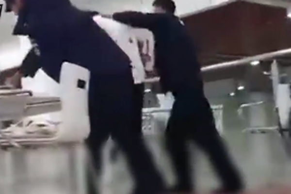 A taxi company started offering pet-friendly rides to allow customers to travel with their furry companions