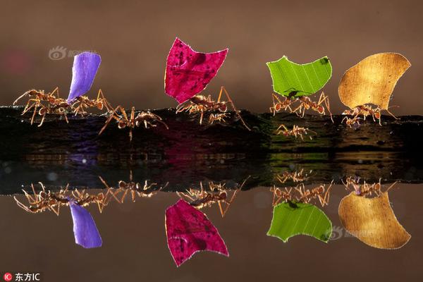A bakery started making custom birthday cakes with 3D-printed sugar decorations