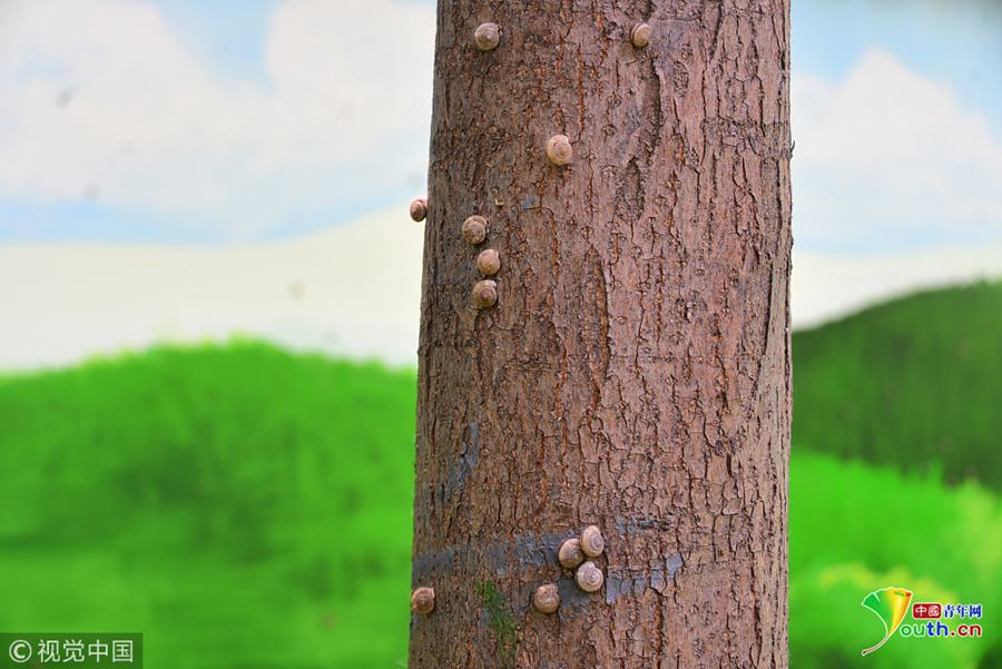 A museum hosted a workshop on how to paint landscapes like a famous 19th-century artist