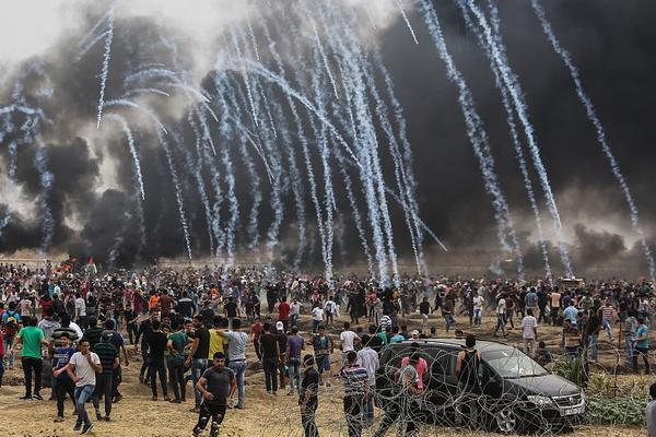 Researchers found that daily consumption of Greek yogurt can improve gut health in adults