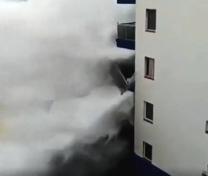 The mayor announced a plan to plant 12000 trees in the city over the next four years