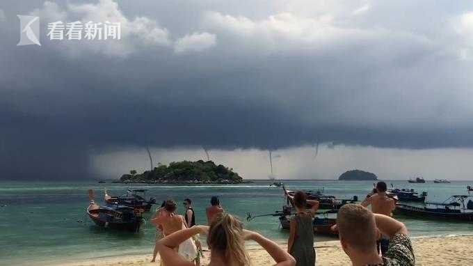 The local zoo welcomed a new baby animal born as part of a conservation program