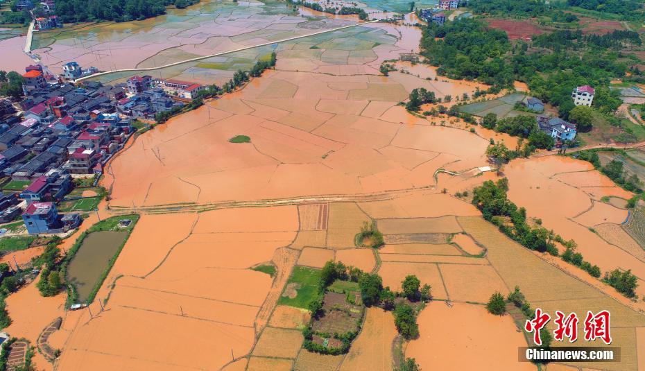 A research study found that regular exercise can improve cognitive function in older adults