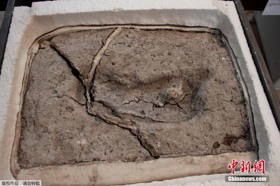 A farmers market added 15 new vendors selling handmade crafts, artisanal cheeses, and locally produced honey