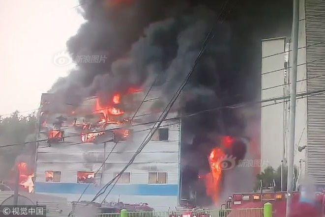 Local bookstores reported increased sales of self-help books during the start of the new year