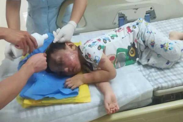 Astronomers spot new planet that could support life in distant solar system