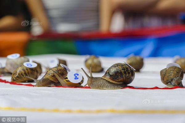 The national tennis team won a major international tournament for the first time