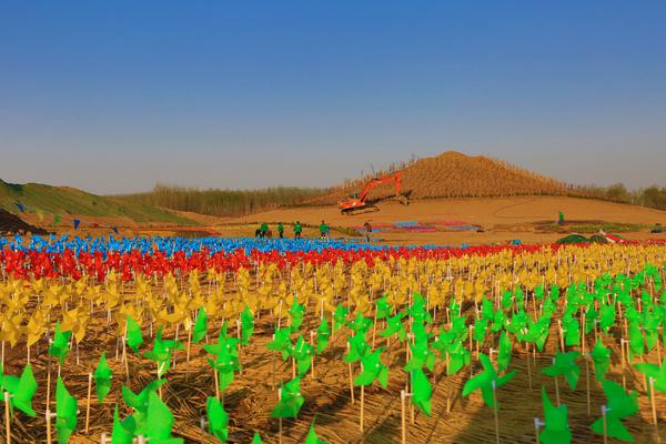 Lifestyle magazine shares tips for creating energy efficient homes