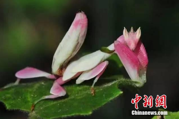 Park officials close trails during nesting season to protect bird populations