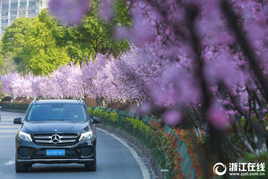 A new survey found that 85% of employees value work-life balance more than a high salary