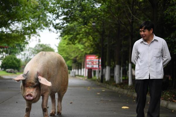 A restaurant was awarded a 