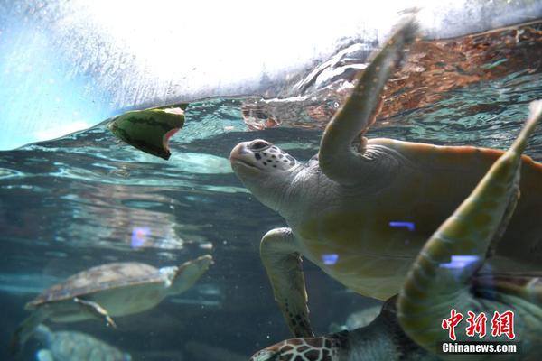 A bookstore chain started a program to give free books to children in homeless shelters