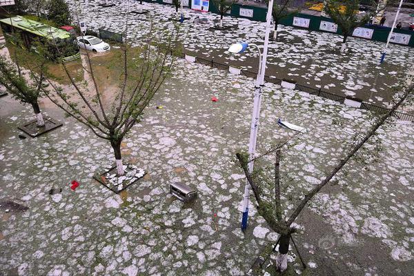 A musician went on a European tour to promote their new album