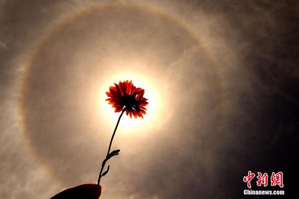 A photographer captured photos of a local flower festival that were used in a national travel guide