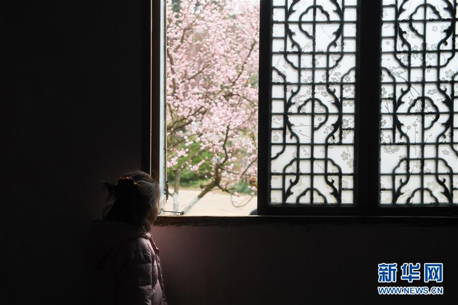 A garden center introduced a new line of drought tolerant plants for home gardens