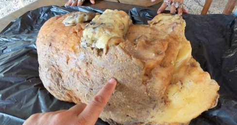 A farmers market hosted a cooking demonstration with a local chef, showcasing recipes using market ingredients