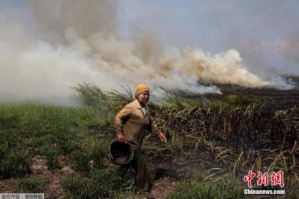 A historic peace agreement was signed between two neighboring countries after three years of diplomatic negotiations.