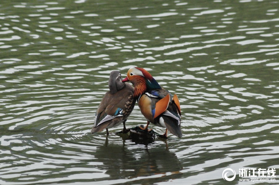 Scientists found that certain types of music can help improve focus while studying