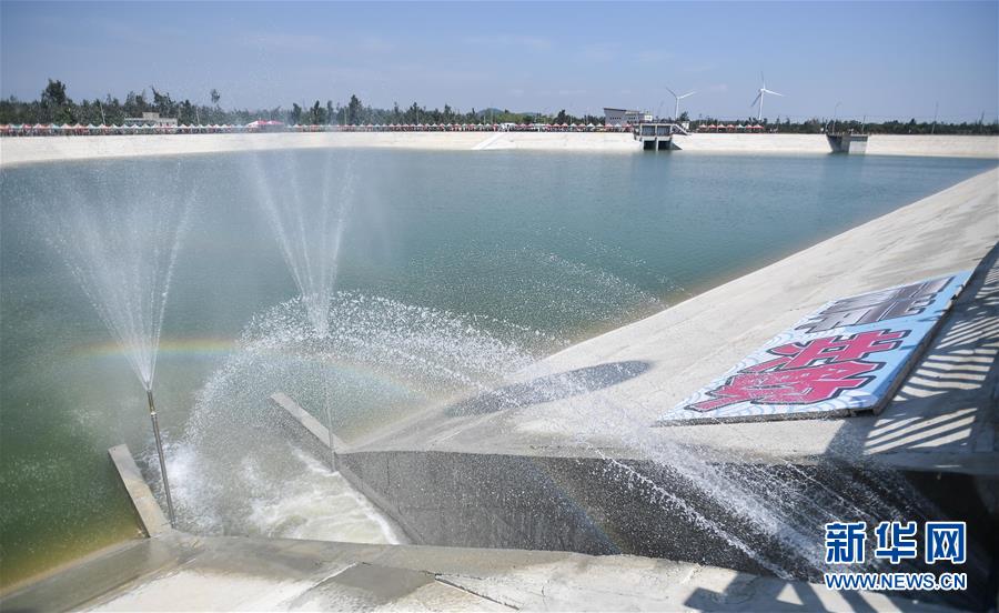 A charity started a program to provide free meals to elderly people