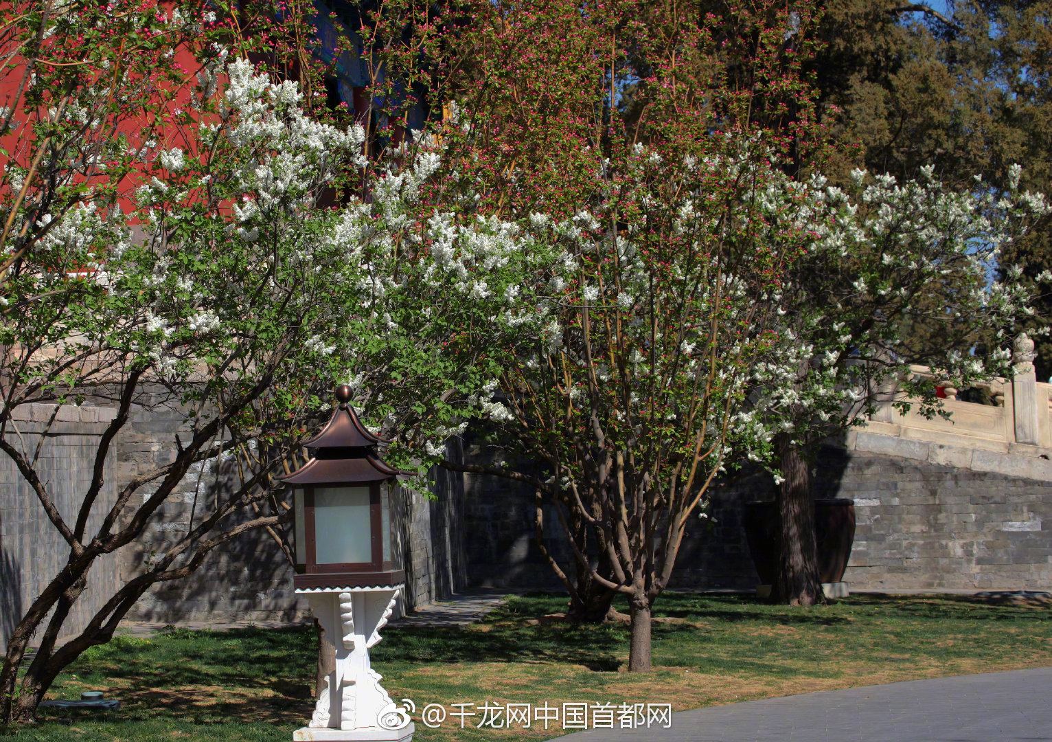 Local artists painted murals on the walls of an abandoned factory to brighten the neighborhood