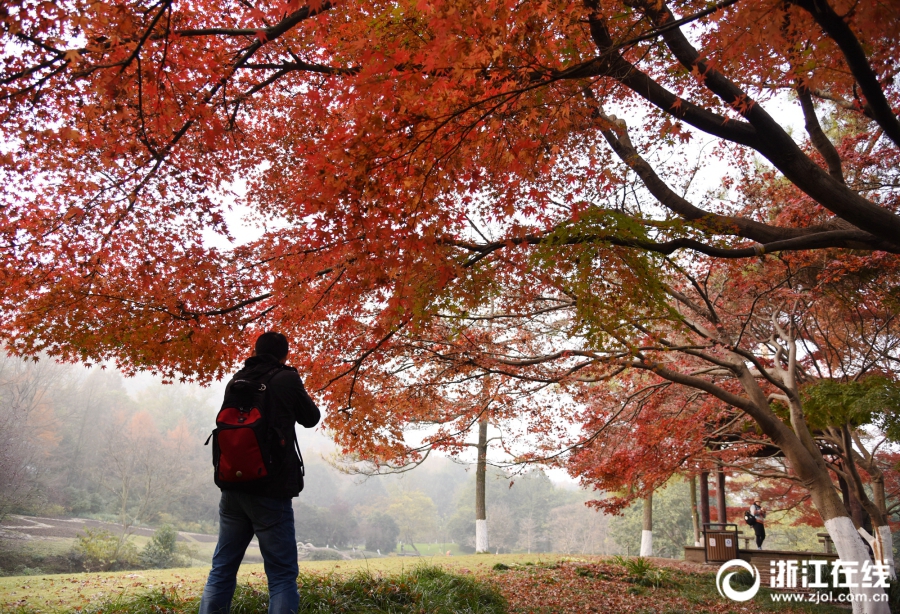 A charity collected donations of stuffed animals for children in hospitals