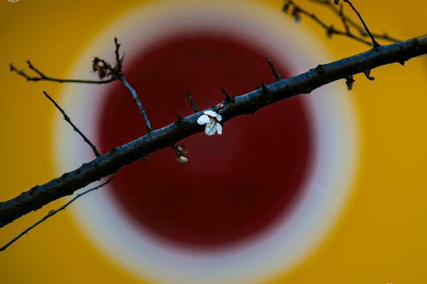 A national park started a program to remove invasive plant species that threaten native wildlife habitats