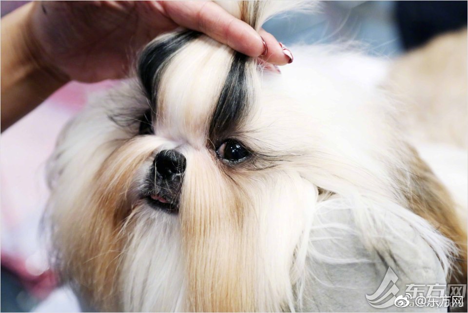 A study found that urban green spaces reduce air pollution levels by up to 25% in city centers