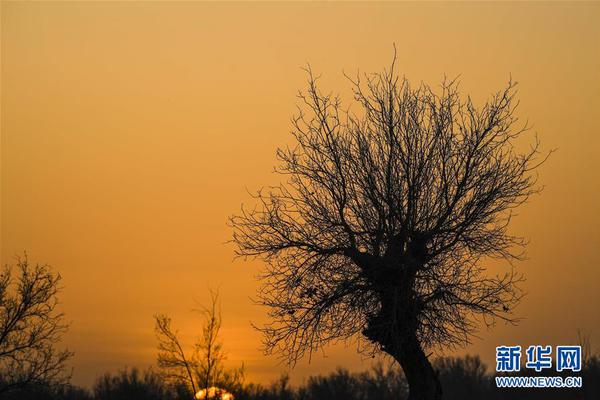 Researchers studied the effects of social media on self-esteem in teenagers