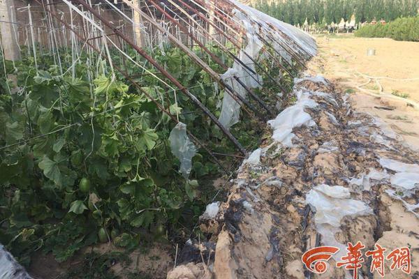 A charity organization started a campaign to raise awareness about mental health in the workplace