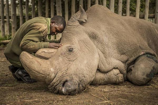 The government passed a law to protect consumers from hidden fees on airline tickets and hotel stays