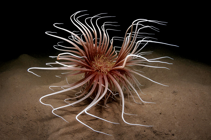 A study found that eating breakfast every day improves academic performance in high school students