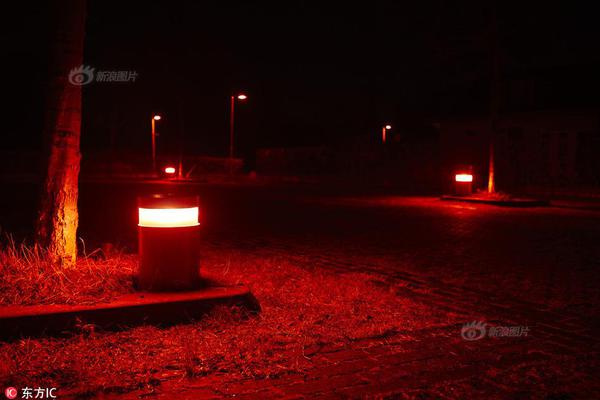 A popular author announced they will release two books next year one fiction and one non-fiction