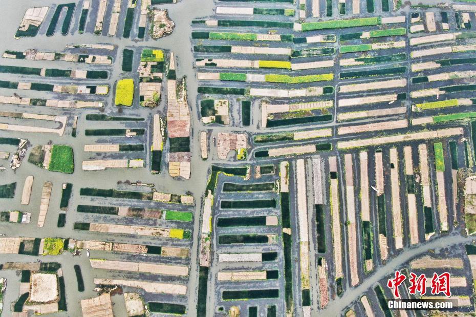 A new mobile app was launched that helps users find and book eco-friendly hotels and travel experiences