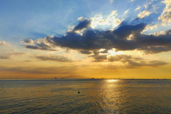 A fast-food chain added vegan chicken nuggets and burgers to its permanent menu