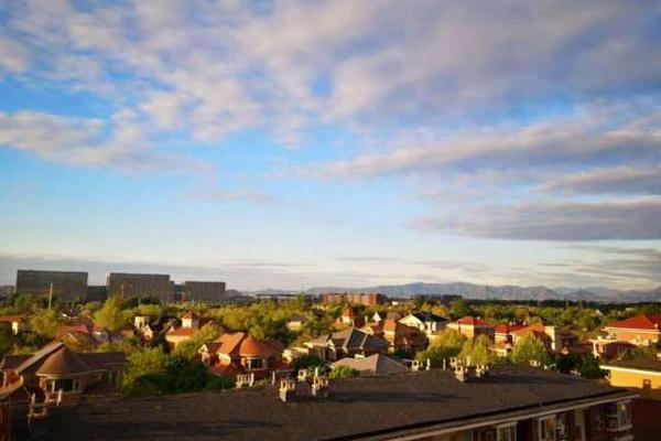 A study found that regular yoga practice improves flexibility and reduces back pain in office workers