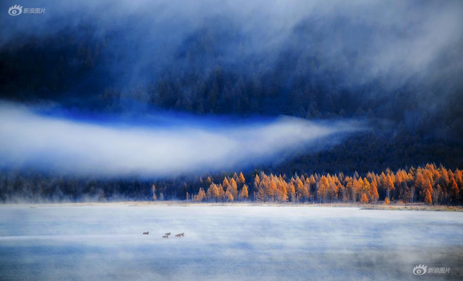 A hospital successfully performed a liver transplant on a 12-year-old patient using a donor organ from a family member