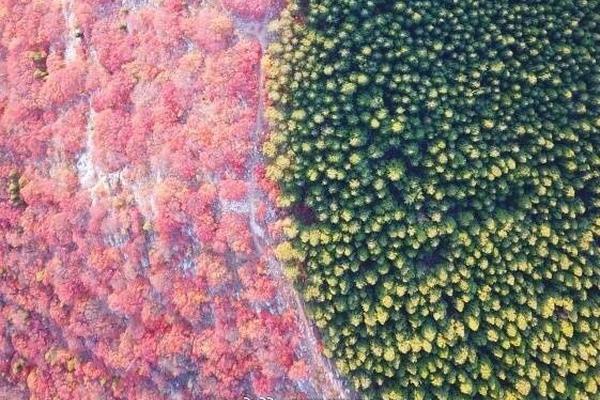 The university published a research paper on the effects of social media on youth