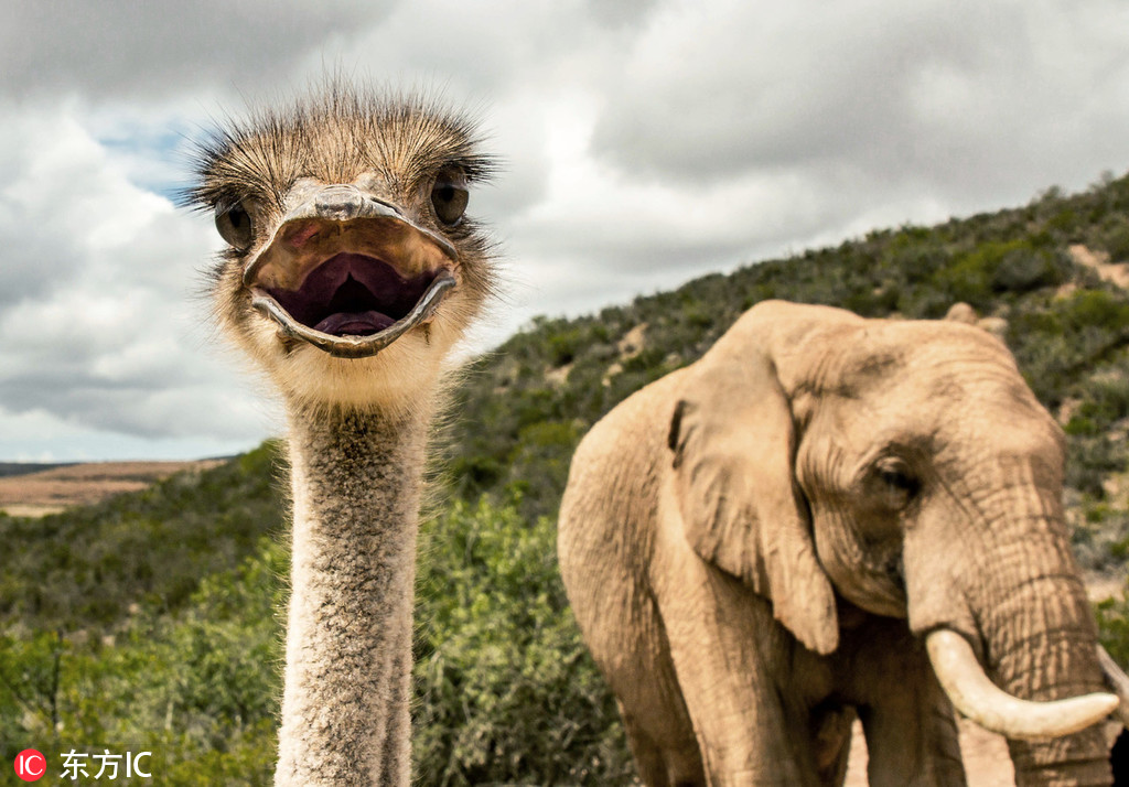 A local library opened a new digital section offering free access to e-books audiobooks and online databases